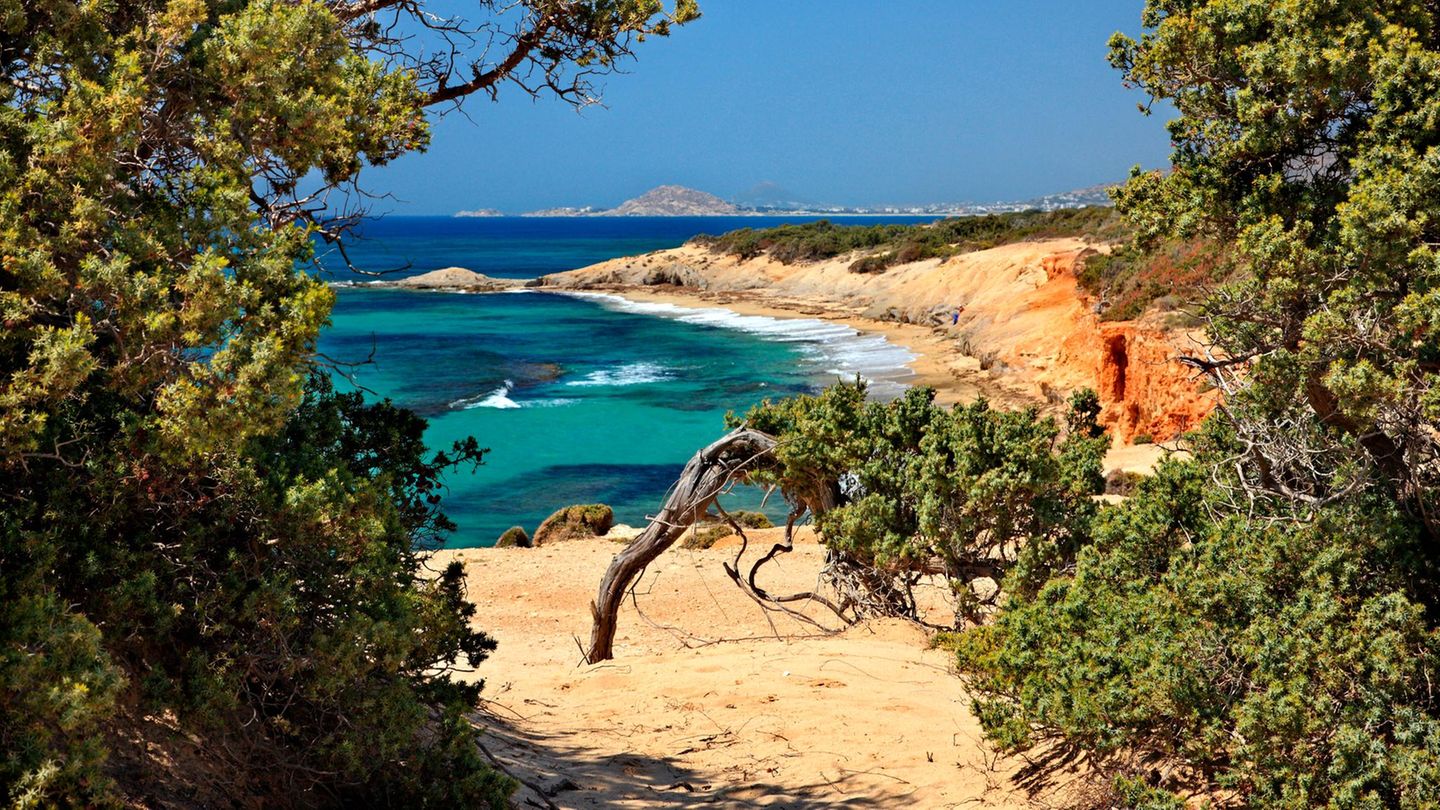 Durchgang zum Alyko Strand mit Zedernwald auf der Insel Naxos