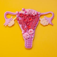 Myome sind Wucherungen in der Muskelschicht der Gebärmutter. Etwa 25 bis 30 Prozent aller Frauen zwischen 30 und 50 Jahren begeben sich ihretwegen in ärztliche Behandlung