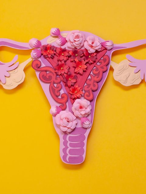 Myome sind Wucherungen in der Muskelschicht der Gebärmutter. Etwa 25 bis 30 Prozent aller Frauen zwischen 30 und 50 Jahren begeben sich ihretwegen in ärztliche Behandlung