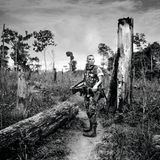 Kolumbianischer Marine in einem für den illegalen Koka-Anbau gerodeten Waldstück