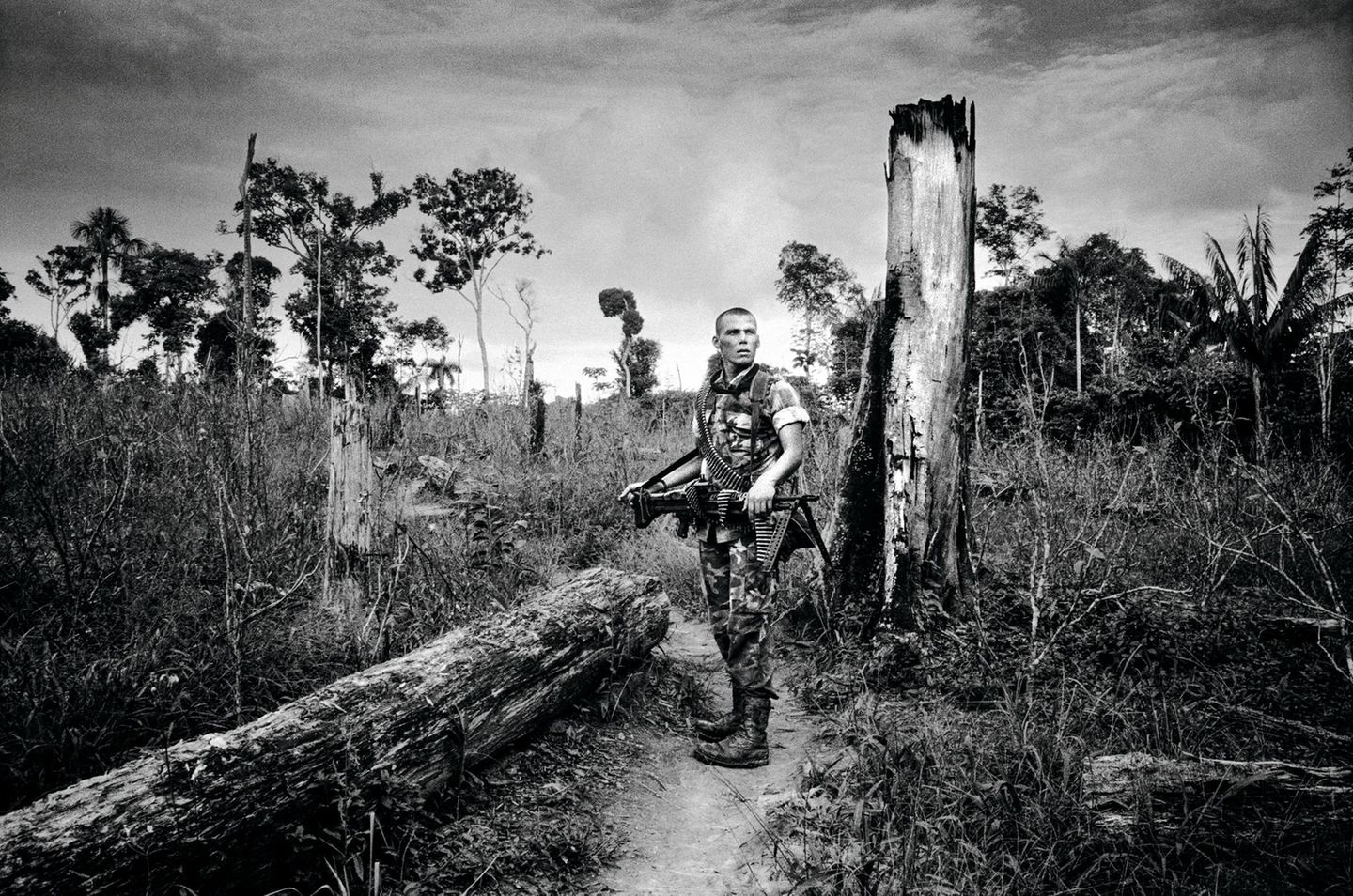 Staatsfeind Nr. 1 Kolumbianischer Marine in einem für den illegalen Koka-Anbau gerodeten Waldstück