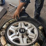 Ein kalifornischer Grenzbeamter hat Marihuana in einem Autoreifen entdeckt. Die Ware kommt aus Mexiko, wo das warme Klima Hanf hervorragend wachsen lässt. Im von Drogengewalt gebeutelten Land betreiben Kriminelle seit den 1960er Jahren riesige Plantagen. Doch auch hier werden ab den 1970ern härtere, lukrativere Drogen wichtiger: erst Kokain, neuerdings synthetische Rauschmittel wie Methamphetamin oder der süchtig machende Schmerzstiller Fentanyl.