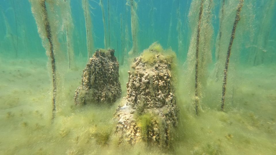 8000 Jahre alt: Forschende entdecken unter Wasser wohl älteste Seesiedlung Europas