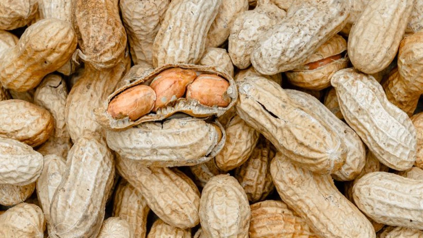 Allergie-Bluttest-k-nnte-Wirksamkeit-von-Erdnuss-Therapie-vorhersagen