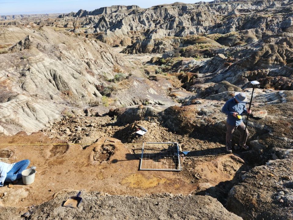 Dinosaur Provincial Park