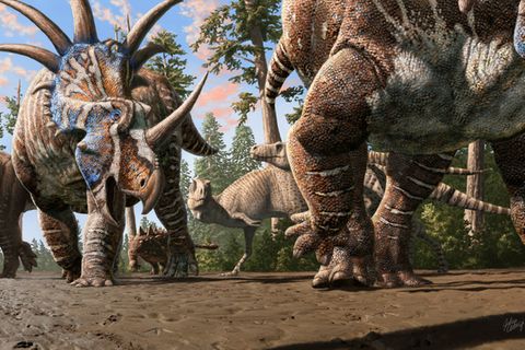 Herde Dinosaurier