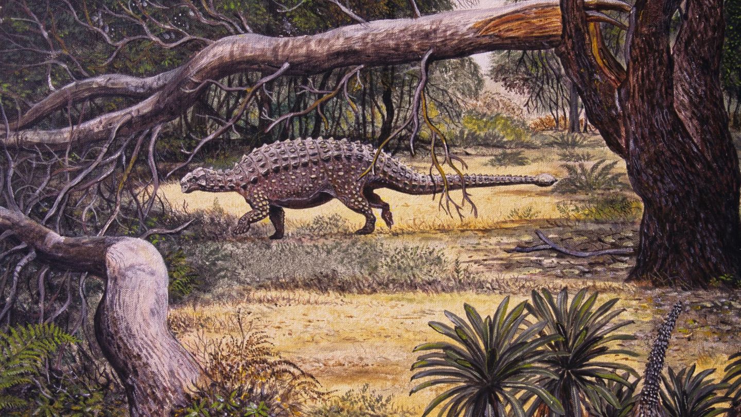 Fund-aus-China-Manche-Dinosaurier-br-llten-nicht-sie-zwitscherten-vermutlich