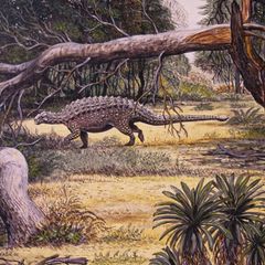 Ein Pinacosaurus unter einem umgefallenen, abgebrochenen Baumstamm