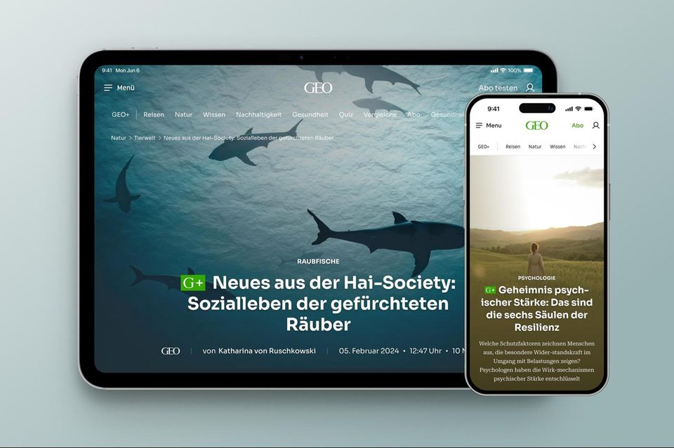 Willkommen bei GEO+: Was ist GEO+?  1.5622