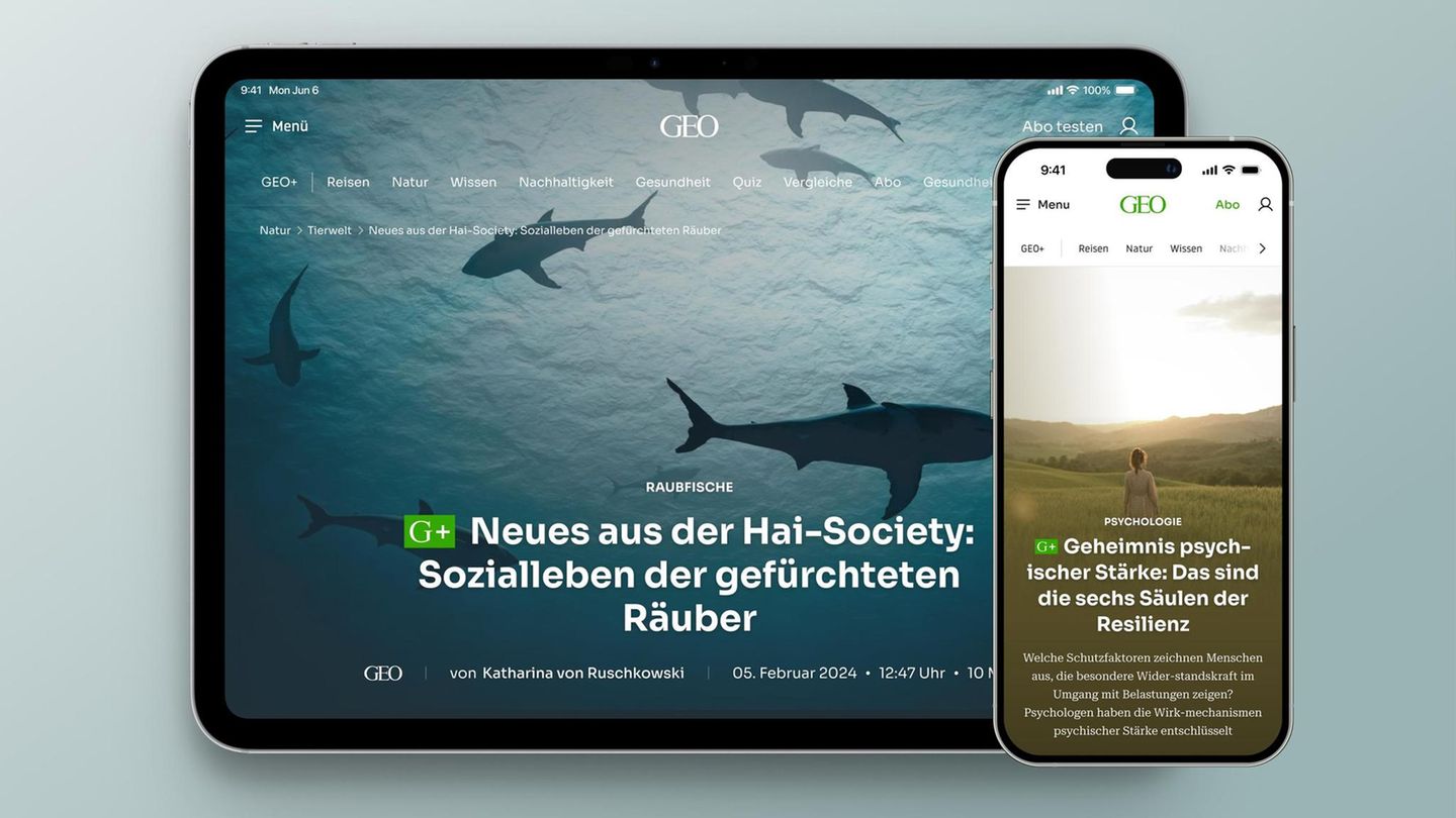 Willkommen bei GEO+: Was ist GEO+? Willkommen bei GEO+: Was ist GEO+?
