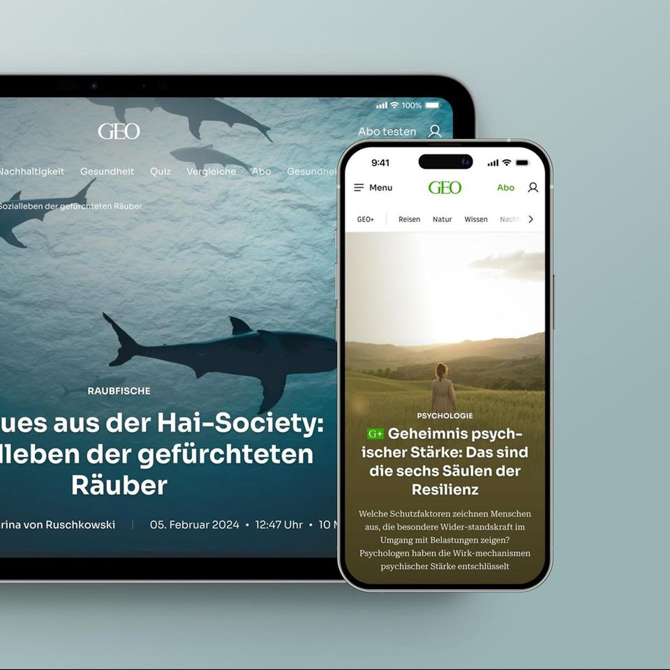 Willkommen bei GEO+: Was ist GEO+?