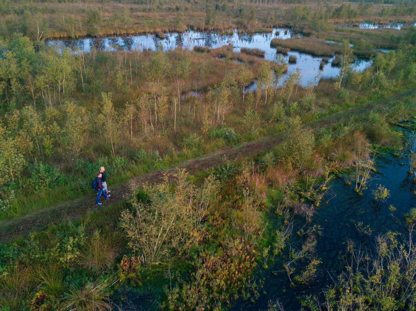 Naturpark Moor-Veenland