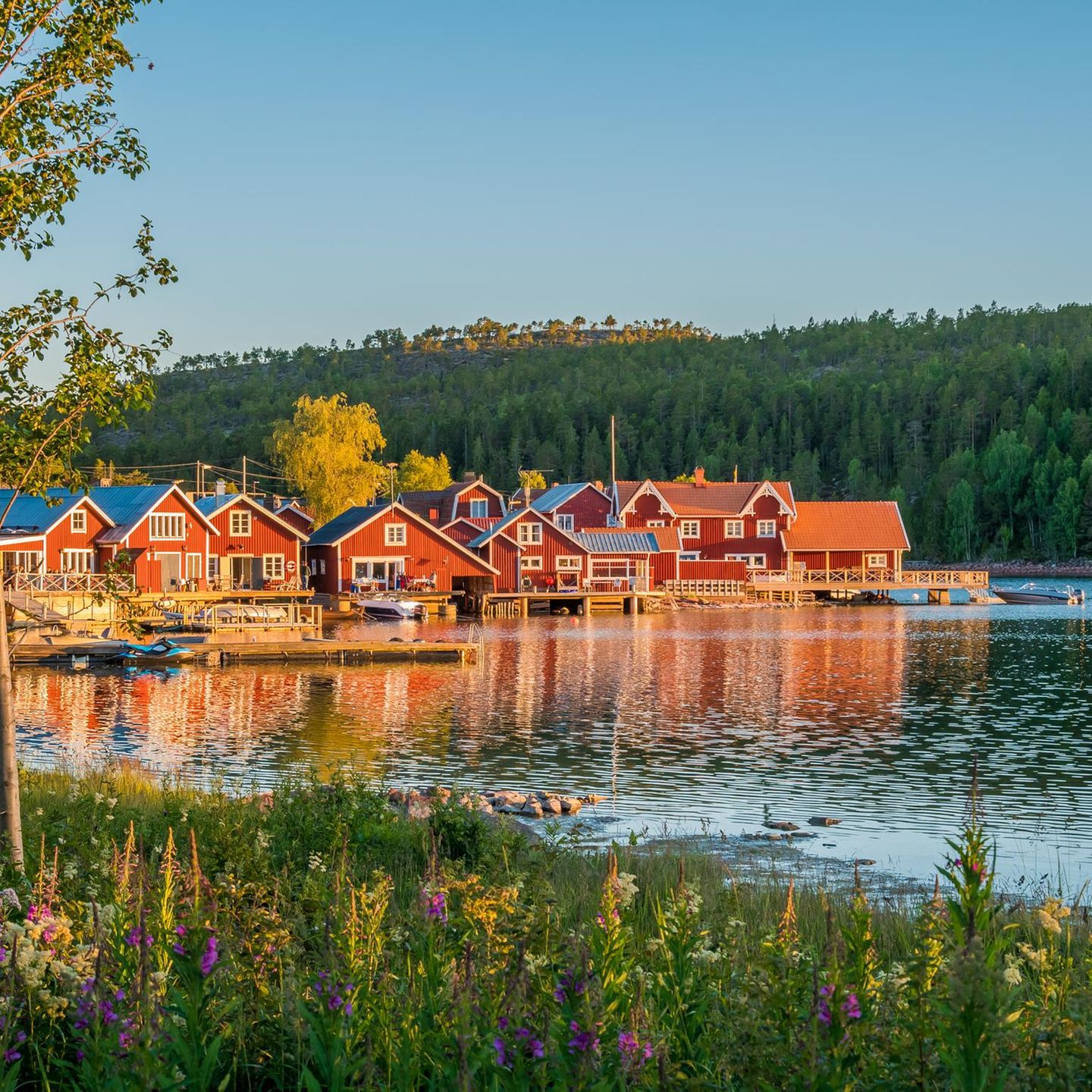 Häuseransammlung am See im Sommer in Norrfallsviken in Schweden im Sommer
