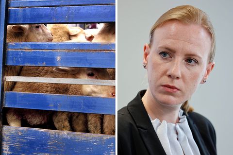 Vorerst nur bis Ende August im Amt: die Tierärztin und Bundestierschutzbeauftragte Dr. Ariane Kari