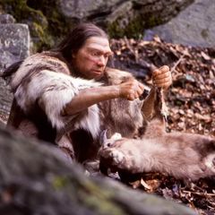 Die Figur eines Neandertalers sitzt im Wald und weidet ein Beutetier aus