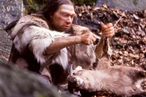 Die Figur eines Neandertalers sitzt im Wald und weidet ein Beutetier aus