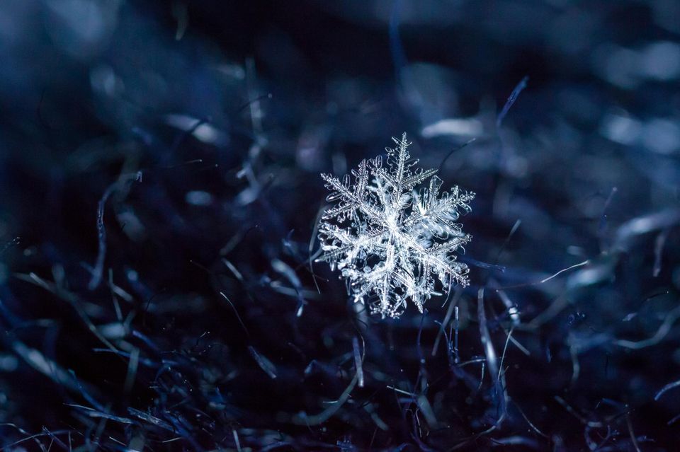 Schneeflocke