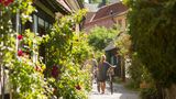 Spaziergänger schieben ihr Fahrrad durch die beblühmten Gassen der Altstadt von Visby