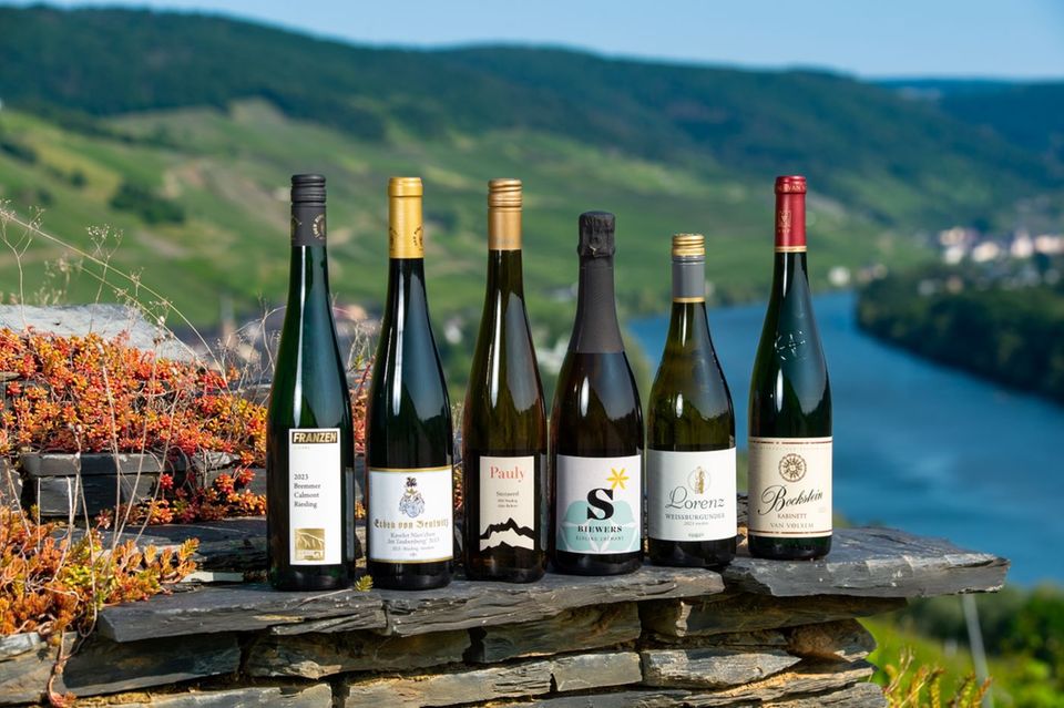 Gewinnspiel: Spannende Entdeckungen im Wein-Canyon Gewinnspiel: Spannende Entdeckungen im Wein-Canyon