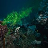 Wie schnell filtern Schwämme das Wasser durch ihre Poren? Und welche Mengen von Kohlendioxid kommen dabei zusammen? Fragen wie diesen gehen die Forschenden in der Nähe der Aquarius Reef Base in Langzeitexperimenten nach. Ich durfte mithelfen: durch die ungiftige, grüne Tinte die Pumpleistung dieses Vasenschwammes vermessen. Er filtert bis zu 500.000 Liter pro Tag!