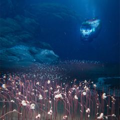 Ein Uboot in der Tiefsee