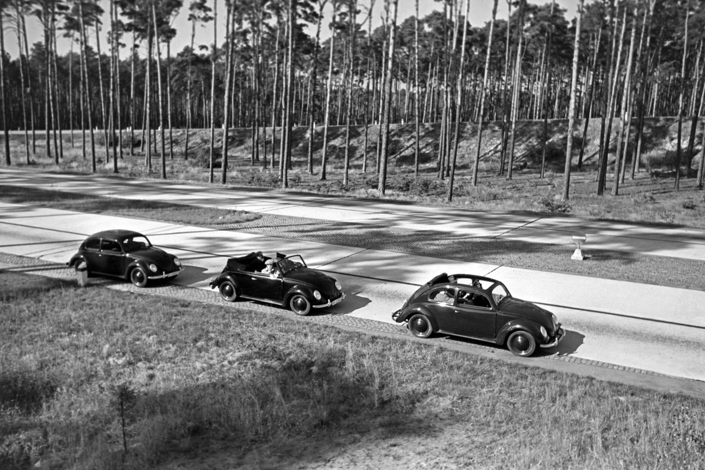 Auf Probefahrt Drei Prototypen des VW-Käfers fahren eine Straße durch einen Wald entlang