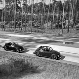 Drei Prototypen des VW-Käfers fahren eine Straße durch einen Wald entlang