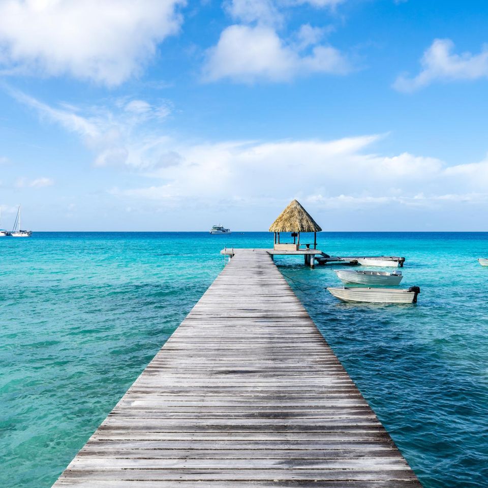 Credit:  eyetronic / Adobe Stock