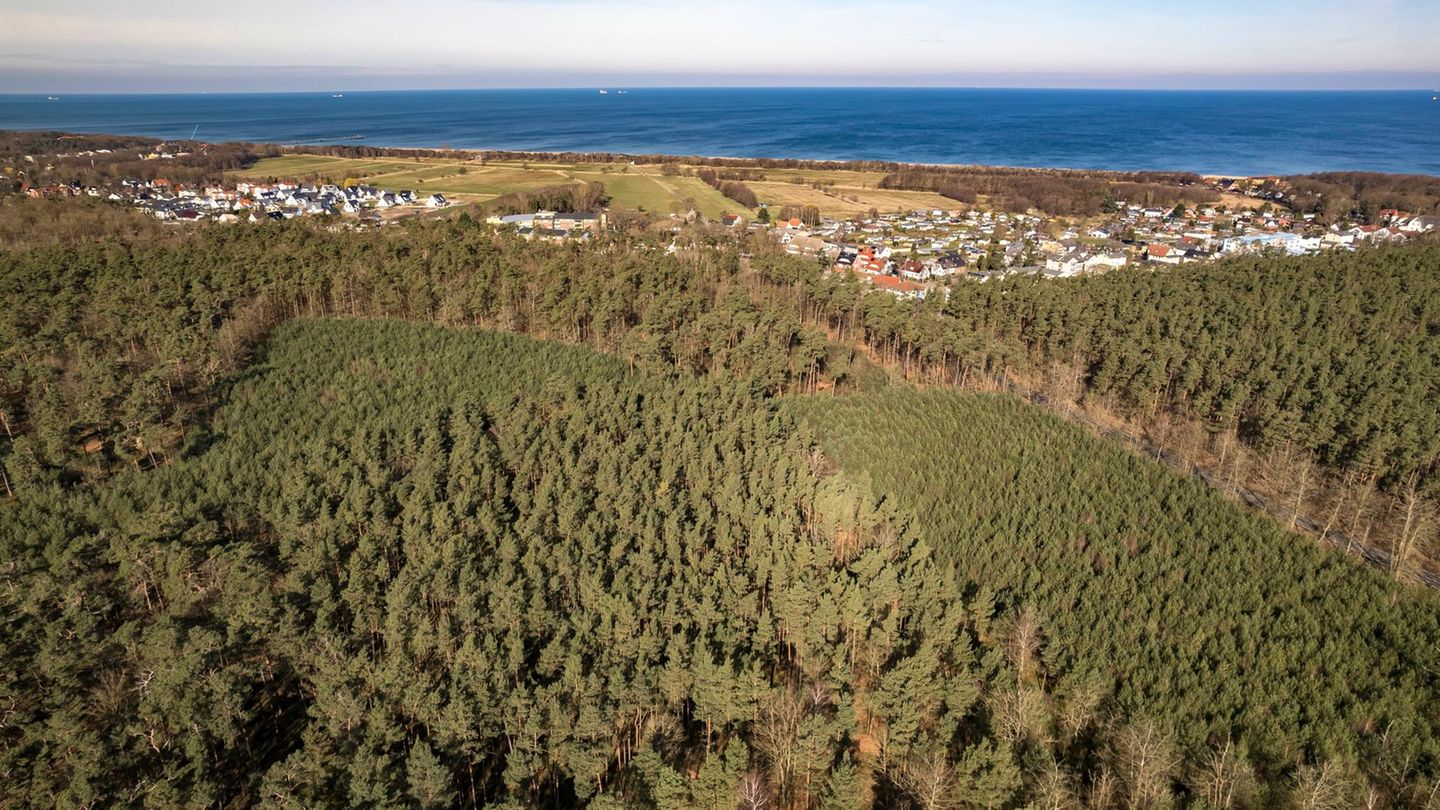 Rostocker Heide aus der Vogelperspektive