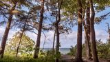 Bewaldete Steilküste an der Ostsee bei Warnemünde