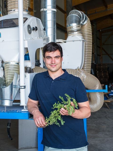 Vor dem Verkauf: Landwirt Albert Bickert setzt auf Hightech, um Hülsenfrüchte zu reinigen