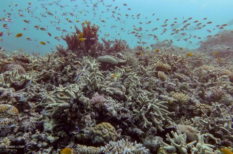 Great Barrier Reef