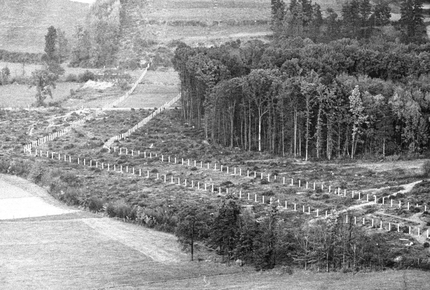 Todesstreifens entlang der deutschen Grenze zwischen Thüringen und Hessen 1962