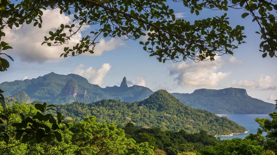 Regenwald São Tomé 