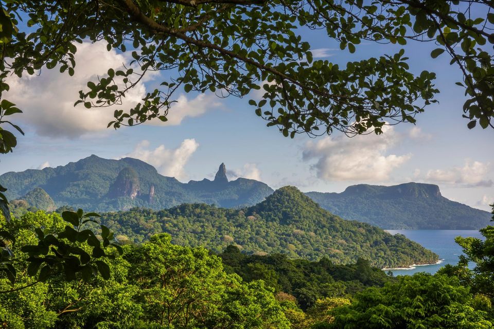 Regenwald São Tomé Regenwald São Tomé