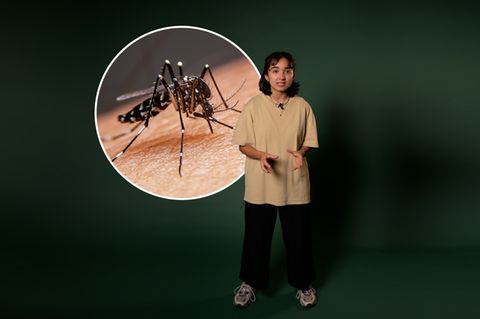 Endlich verstehen: Warum stechen Mücken manche Personen ständig – und lassen andere in Ruhe?