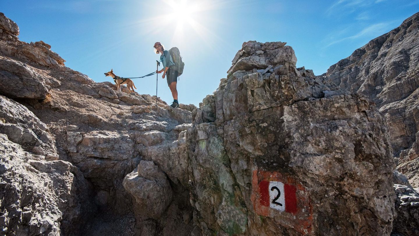 Interview-50-Tage-unterwegs-Diese-Frau-meisterte-die-Alpen-berquerung-mit-ihrem-Hund-GEOplus
