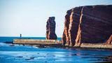 Völlig untypisch für Schleswig-Holstein und die deutsche Nordseeküste ist die Felsinsel Helgoland, weit draußen im Meer. Entstanden ist sie dadurch, dass mächtige Salzablagerungen Millionen Jahre alte, darüber liegende Gesteinsschichten nach oben gedrückt haben. Ein Fels, die 47 Meter hohe Lange Anna, hat sich dabei vom kompakten Inselkörper gelöst. Sie ist die Kinderstube von Basstölpeln, Trottellummen, Tordalken, Eissturmvögeln und Dreizehenmöwen – allesamt Spezies, die in Deutschland nur auf Helgoland vorkommen. Von dem Wanderweg aus, der direkt an der Felskante verläuft, lassen sich die Vögel während der Brutzeit aus nächster Nähe beobachten.