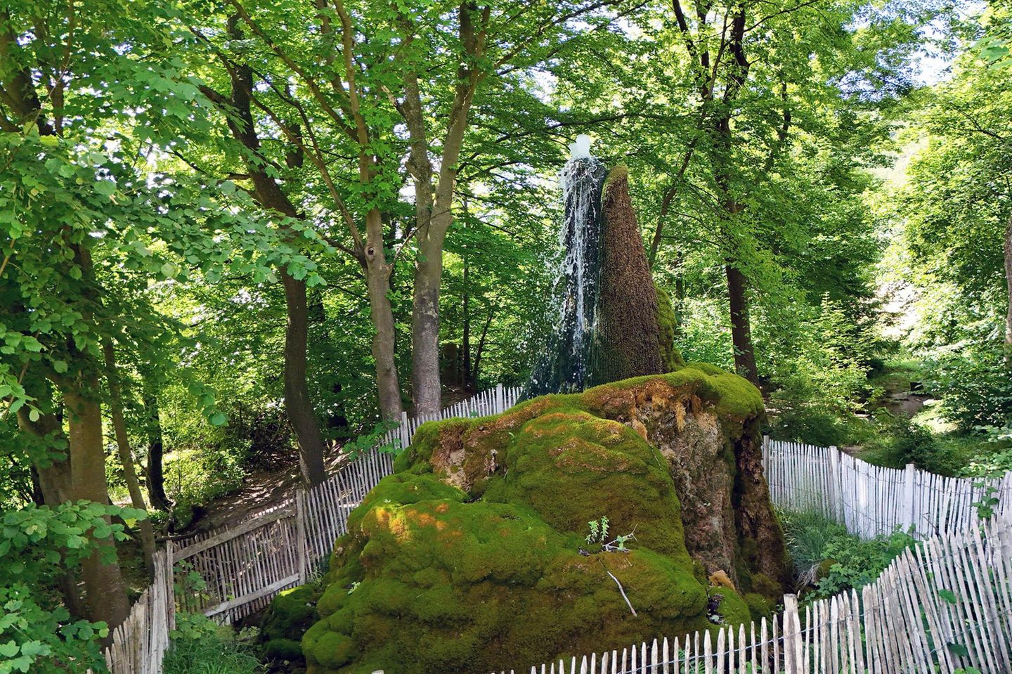 Der Wasserbaum Ockensen im östlichen Weserbergland besteht aus Holz – und aus Kalk. Genauer: Kalksinter. Der "Baum" ist ursprünglich der senkrecht stehende, hölzerne Überlauf eines Mühlenteichs. Nach Jahrzehnten der "Berieselung" haben sich darauf zentimeterdicke Kalkschichten abgesetzt. Heute bietet der Wasserbaum spezialisierten Moosen, Flechten und Kleinstlebewesen einen Lebensraum. Das kleine Technik- beziehungsweise Naturdenkmal liegt am zehn Kilometer langen Naturparkwanderweg Wasserbaum Ockensen.