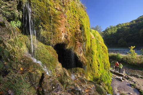 Nicht etwa in den Alpen, sondern in der Pfalz findet sich ein in Deutschland einzigartiger Wasserfall: Der Dreimühlen-Wasserfall stürzt vier bis sechs Meter tief in den Ahbach – und wächst durch Kalkablagerungen jedes Jahr rund acht bis zehn Zentimeter ins Tal. Wegen des besonderen Zusammenspiels von Geologie, Wasser, Boden und Pflanzenwelt wurde der Wasserfall als "Nationales Geotop" ausgezeichnet. Erkunden lässt er sich entlang des Eifelsteigs oder auf der zehn Kilometer langen "Wasserfall-Runde".