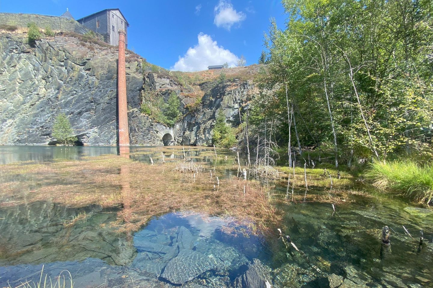 Die ehemalige Schiefergrube ist ein Paradebeispiel dafür, wie die Natur sich nach menschlichen Eingriffen ihren Raum zurückerobert. Heute bieten steile Felswände, Schieferhalden und Wasserflächen seltenen Tierarten einen Rückzugsort, darunter Schlingnatter, Bartfledermaus, Schwarzspecht und Uhu. Das ungewöhnliche Kleinod liegt unmittelbar am Grünen Band, der ehemaligen deutsch-deutschen Grenze – und ist durch Spazier- und Wanderwege gut erschlossen.