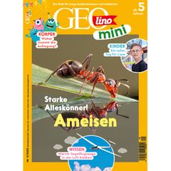 GEOlino Mini 09/2025: Ameisen