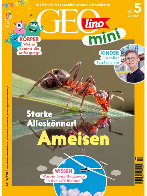 GEOlino Mini 09/2025: Ameisen