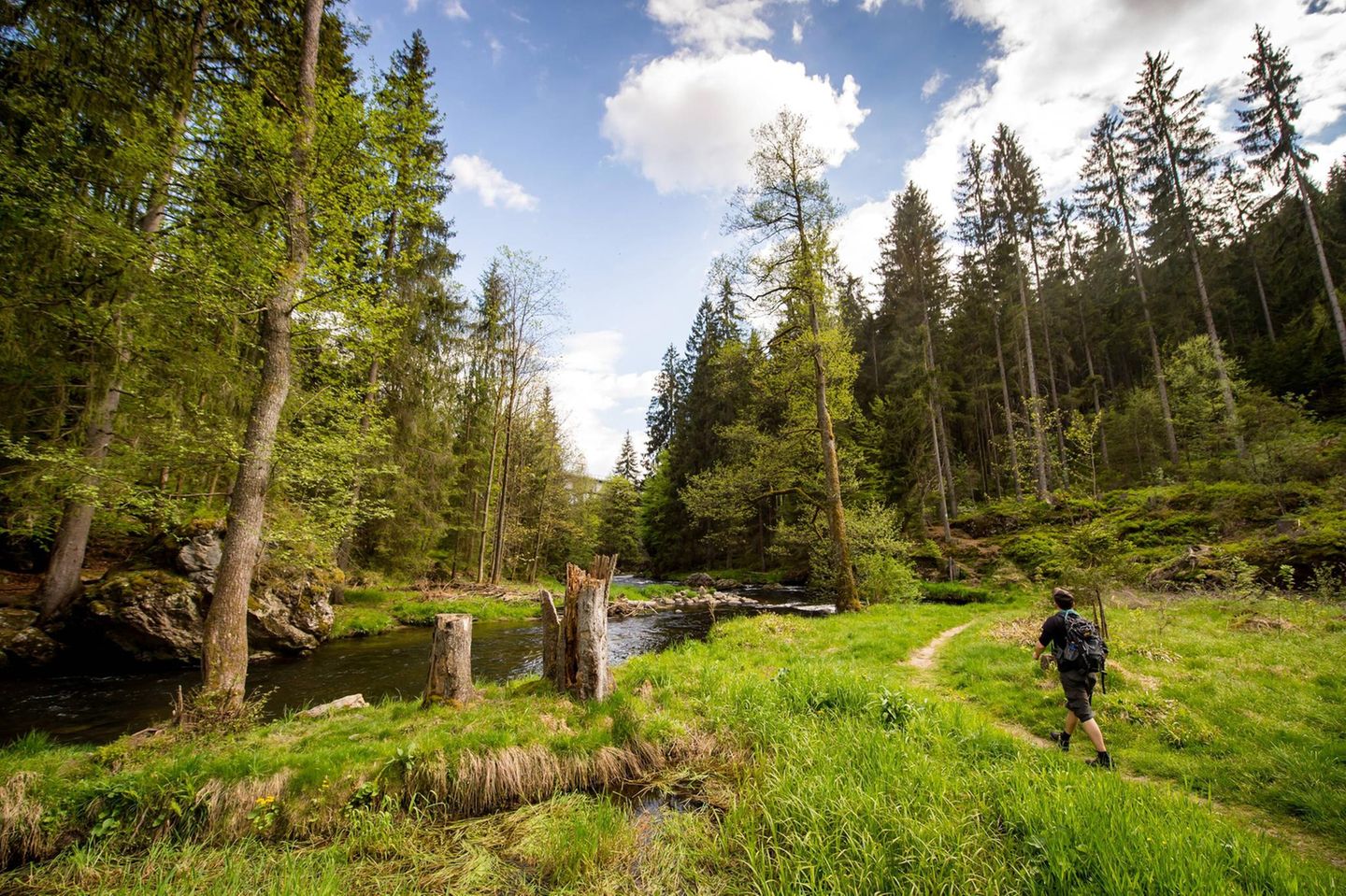 Flusswanderweg am Regen in der Nähe von Zwiesel in Bayern