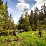 Flusswanderweg am Regen in der Nähe von Zwiesel in Bayern