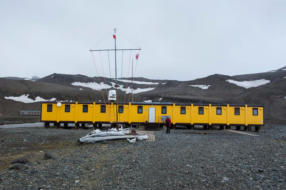 Farbfoto der gelben polnischen Henryk Arctowski Antarktik Station vor teils mit Schnee bedeckten Bergen.
