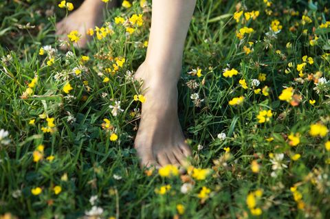 Nackte Frauenfüße laufen über eine Wiese aus Wildblumen und Gras