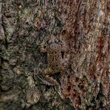 Die Kunst, sich unsichtbar zu machen