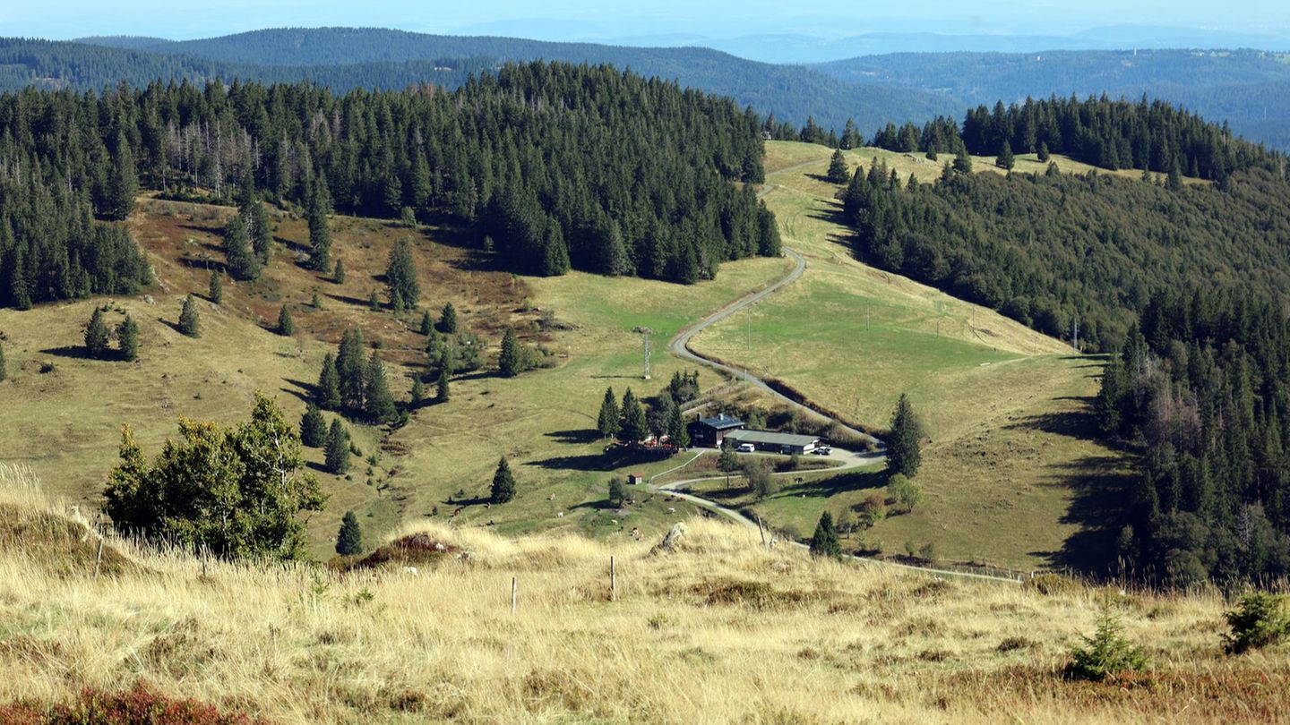 Auf dem Wanderweg Bernauer Hochtal Steig mit Blick auf die Krunkelbach-Hütte