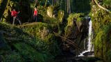 Wasserfall im Albsteig